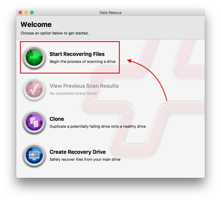 Start recovering files.
